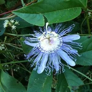 Meet your Posher, Anita